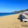 Xperia Saray Beach Hotel